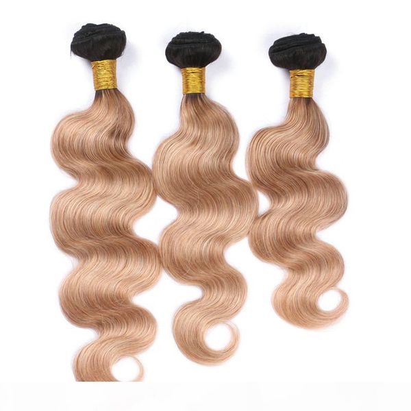 peruvian honey blonde ombre human hair weave extensions body wave wavy 3pcs #1b 27 light brown ombre virgin human hair bundles deals, Black;brown
peruvian honey blonde ombre human hair weave extensions body wave wavy 3pcs #1b 27 light brown ombre virgin human hair bundles deals, Black;brown