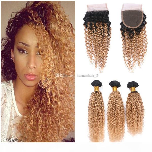 two tone 1b 27 dark root ombre virgin human hair bundles afro kinky curly with 4*4 strawberry blonde ear to ear lace closure, Black;brown
two tone 1b 27 dark root ombre virgin human hair bundles afro kinky curly with 4*4 strawberry blonde ear to ear lace closure, Black;brown