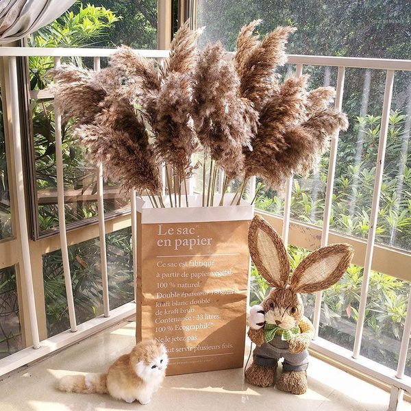 decorative flowers & wreaths 20pcs pampas grass large wedding phragmites real dried reed flower christmas decoration bunch arrangement1
decorative flowers & wreaths 20pcs pampas grass large wedding phragmites real dried reed flower christmas decoration bunch arrangement1