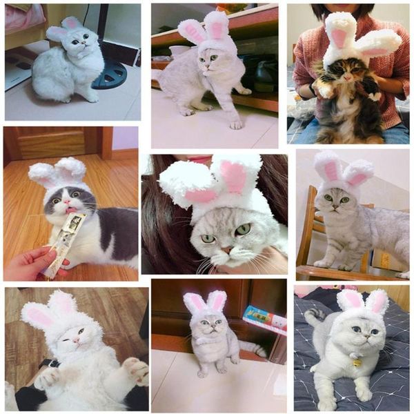 funny cute pet costume cosplay hat cap for cat halloween xmas new year clothes fancy dress small dogs accessories1
funny cute pet costume cosplay hat cap for cat halloween xmas new year clothes fancy dress small dogs accessories1