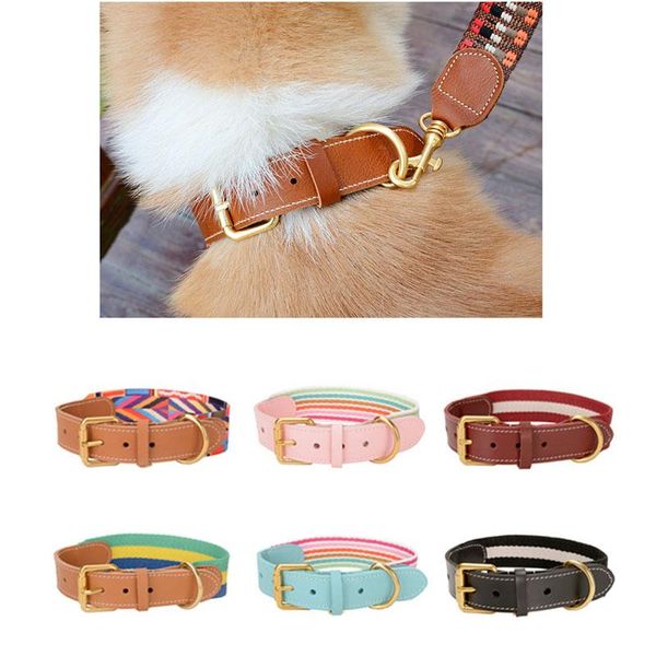 cat collar safety puppy collar chihuahua solid dog for cats kitten pet cat collars adjustable pet leash lead supplies
cat collar safety puppy collar chihuahua solid dog for cats kitten pet cat collars adjustable pet leash lead supplies