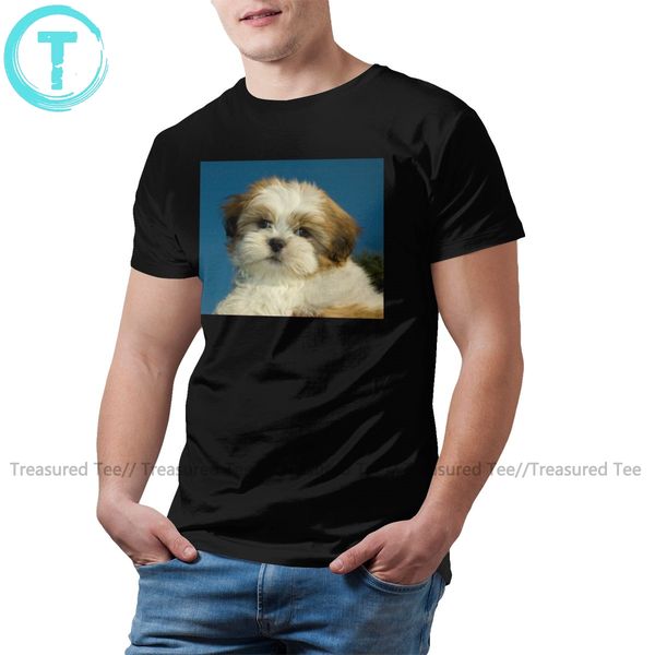 puppies shih tzu shih tzu 100 cotton streetwear printed mens funny oversize hoodie designers t shirts sweatshirt
puppies shih tzu shih tzu 100 cotton streetwear printed mens funny oversize hoodie designers t shirts sweatshirt