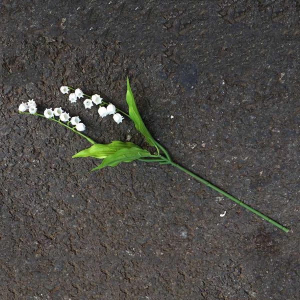 home lilies babysbreath mini plastic decoration white flower artificial for fake wedding garden flowers gypsophila small bbyyna sweet07
home lilies babysbreath mini plastic decoration white flower artificial for fake wedding garden flowers gypsophila small bbyyna sweet07