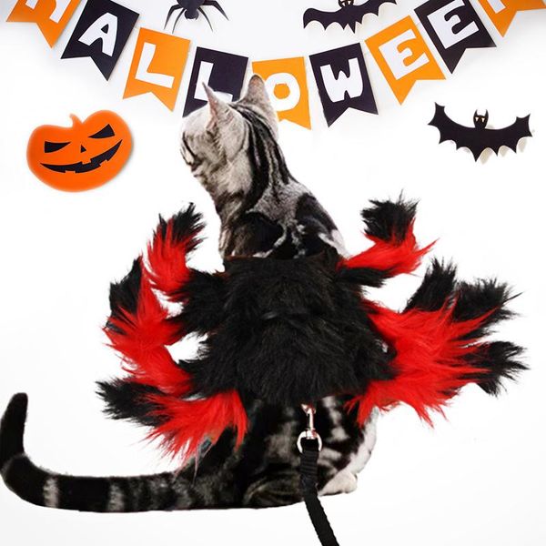 halloween dog collars pet harness vest type dog leads jacket leash pet leash dogs rope pets chain chest strap pet accessories wmtqps
halloween dog collars pet harness vest type dog leads jacket leash pet leash dogs rope pets chain chest strap pet accessories wmtqps
