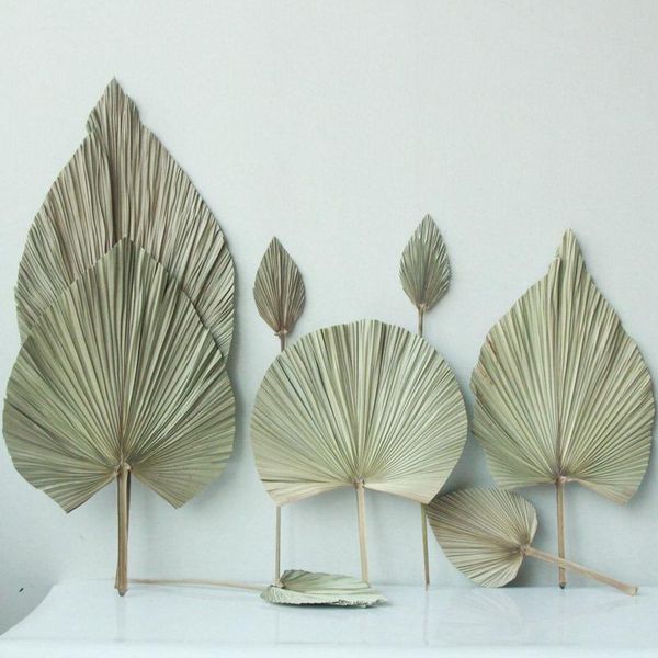 60cm palm fan leaf dried flower palm leaf window reception party art wall hanging arch arrangement pgraphy props
60cm palm fan leaf dried flower palm leaf window reception party art wall hanging arch arrangement pgraphy props