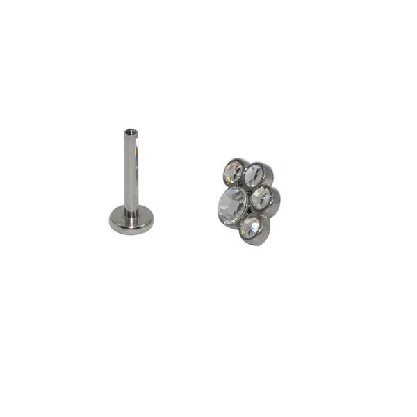 1pc g23 titanium&steel internal threaded bear paw opal cz gem flower ear tragus helix cartilage earring lip stud labret bar ring q jlljfs, Silver
1pc g23 titanium&steel internal threaded bear paw opal cz gem flower ear tragus helix cartilage earring lip stud labret bar ring q jlljfs, Silver
