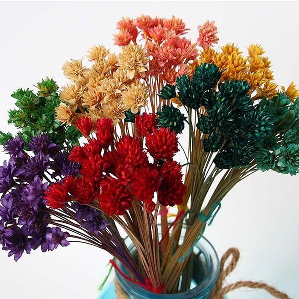 decorative flowers & wreaths immortalized flower material color small mountain dry home arrangement diy gift box materials1
decorative flowers & wreaths immortalized flower material color small mountain dry home arrangement diy gift box materials1