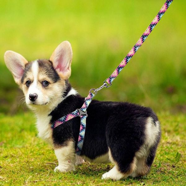 adjustable nylon dog harness leash set printed puppy vest pet walking training leash lead for small medium dogs chihuahu bbyqjd
adjustable nylon dog harness leash set printed puppy vest pet walking training leash lead for small medium dogs chihuahu bbyqjd
