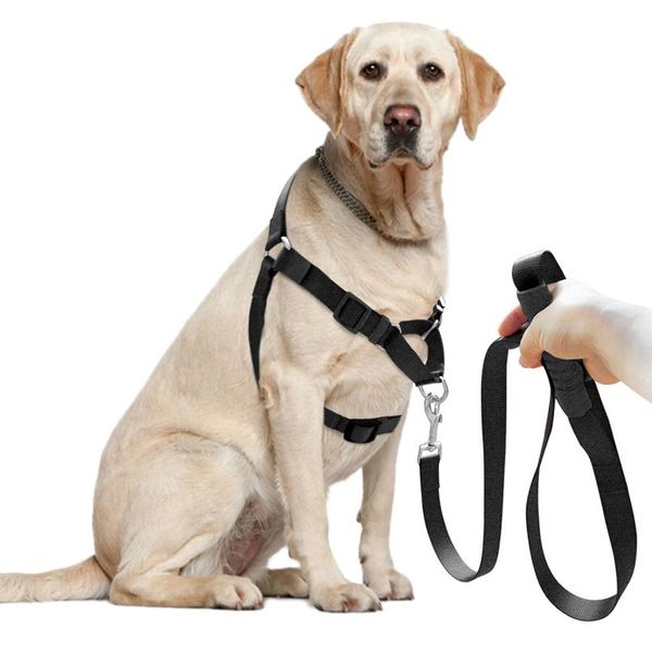 pet no-pull nylon dog harness with leash training harness spulling on lead small medi bbyfrw 
pet no-pull nylon dog harness with leash training harness spulling on lead small medi bbyfrw