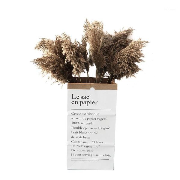 pampas grass decor plants home wedding decor diy dried flowers bunch feather flowers natural phragmites pgraphy props1
pampas grass decor plants home wedding decor diy dried flowers bunch feather flowers natural phragmites pgraphy props1