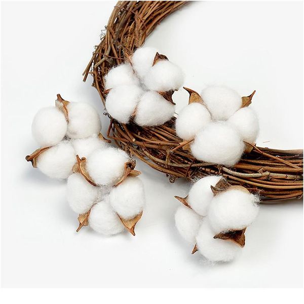5/10pcs natural dried flowers kapok cotton artificial flowers for wedding party home decorations diy craft wreath gift s jllfyt
5/10pcs natural dried flowers kapok cotton artificial flowers for wedding party home decorations diy craft wreath gift s jllfyt