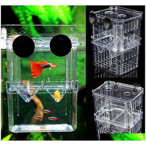 aquarium fish breeding box pet fish tank guppy double breeding breeder rearing hatchery splits fish tank t qylxbp sports2010
aquarium fish breeding box pet fish tank guppy double breeding breeder rearing hatchery splits fish tank t qylxbp sports2010