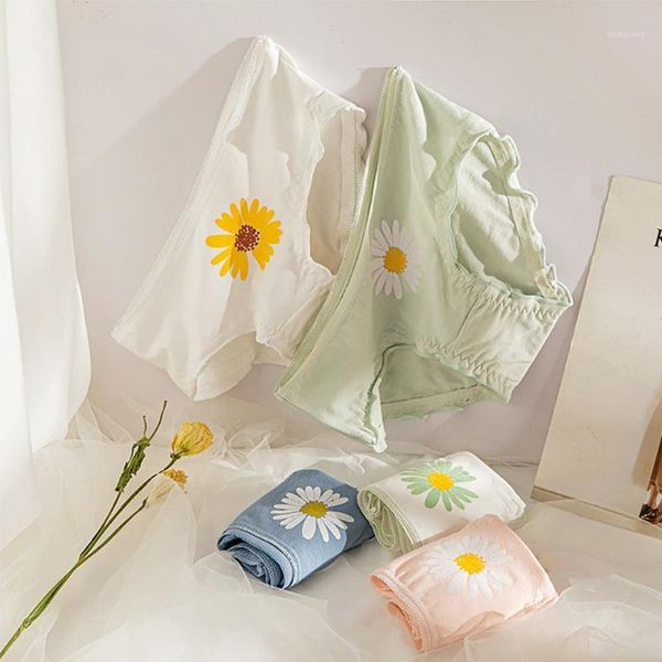 1pc summer girls panty fresh japanese harajuku style little daisy cotton women's underwear girls sweet seamless soft briefs1, Black;pink
1pc summer girls panty fresh japanese harajuku style little daisy cotton women's underwear girls sweet seamless soft briefs1, Black;pink