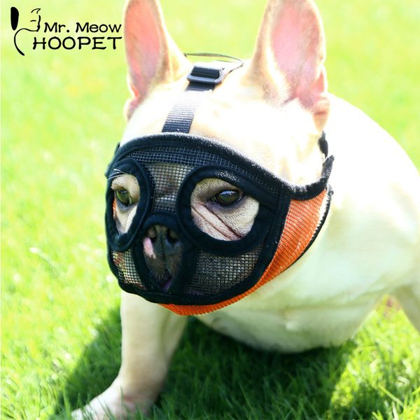 hoopet pet small dog french bulldog muzzle dog mouse basket breathable muzzle for dogs leash harness supplies 1020
hoopet pet small dog french bulldog muzzle dog mouse basket breathable muzzle for dogs leash harness supplies 1020
