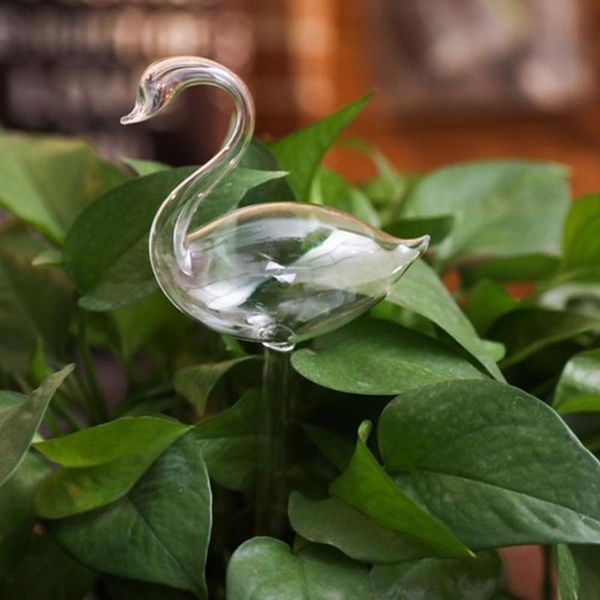 automatic self watering glass bird watering flowers plant decorative clear glass device house/garden houseplant
automatic self watering glass bird watering flowers plant decorative clear glass device house/garden houseplant
