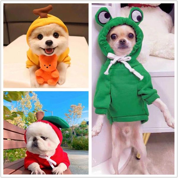 dog apparel fruit design clothes cute xxxs pomeranian hoodie funny chihuahua teacup puppy for cat ear
dog apparel fruit design clothes cute xxxs pomeranian hoodie funny chihuahua teacup puppy for cat ear