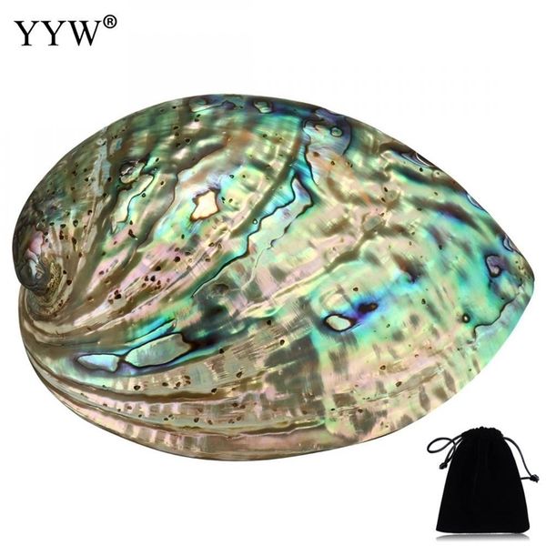 90x120x39mm large abalone shell(4-5") rainbow multicolor oval burning smudge bowl with velvet pouch jewelry holder for gift t200602, Pink;blue
90x120x39mm large abalone shell(4-5") rainbow multicolor oval burning smudge bowl with velvet pouch jewelry holder for gift t200602, Pink;blue