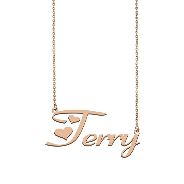 terry name necklace custom nameplate pendant for women girls birthday gift kids friends jewelry 18k gold plated stainless steel, Silver
terry name necklace custom nameplate pendant for women girls birthday gift kids friends jewelry 18k gold plated stainless steel, Silver