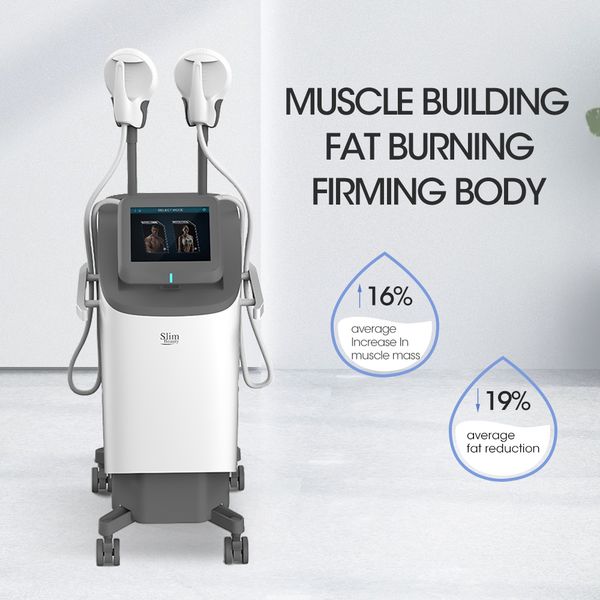 fitness supplies beauty salon equipment wholesale mascle building mslim machine fat loss body coutouring limming machine
fitness supplies beauty salon equipment wholesale mascle building mslim machine fat loss body coutouring limming machine