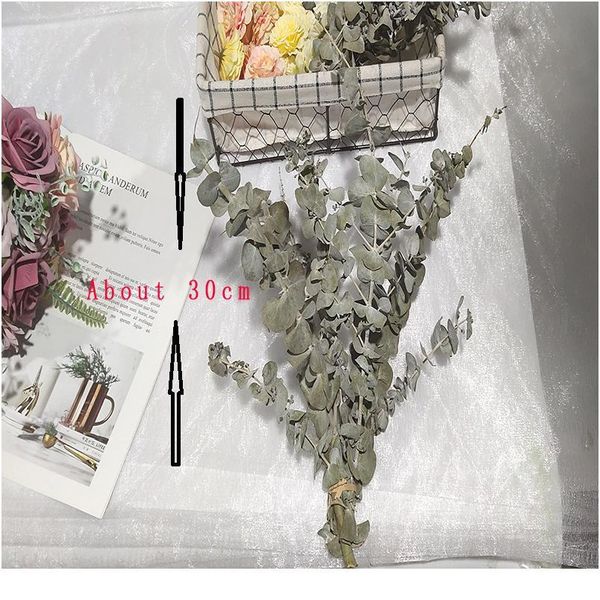 natural dried flowers artificial flower dried eucalyptus leaf real wheat cotton bulrush nordic for home wedding party de bbyvec
natural dried flowers artificial flower dried eucalyptus leaf real wheat cotton bulrush nordic for home wedding party de bbyvec