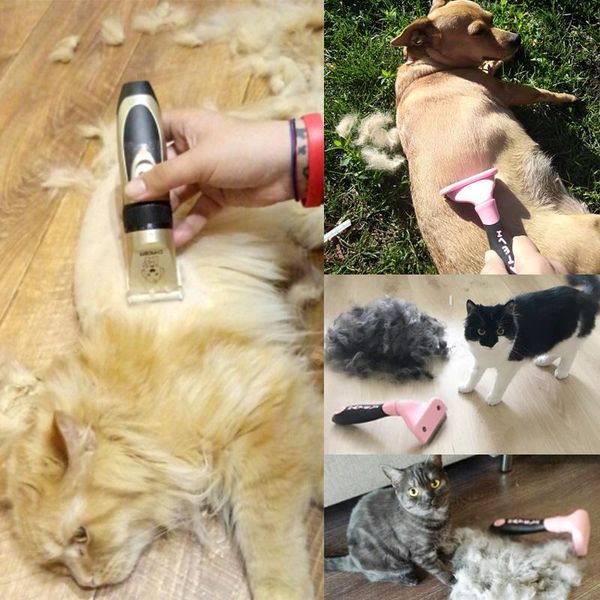 профессиональные pet машинки для стрижки волос стрижка собак машинки для собак триммер резцы триммер pet принадлежности 110-240 wmttzv loves
профессиональные pet машинки для стрижки волос стрижка собак машинки для собак триммер резцы триммер pet принадлежности 110-240 wmttzv loves