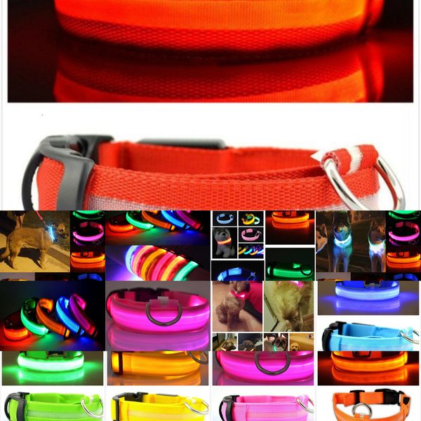 night collar nylon safety led flashing glow in the dark dog leash dogs luminous fluorescent collars pet supplies 3 nhfvy
night collar nylon safety led flashing glow in the dark dog leash dogs luminous fluorescent collars pet supplies 3 nhfvy