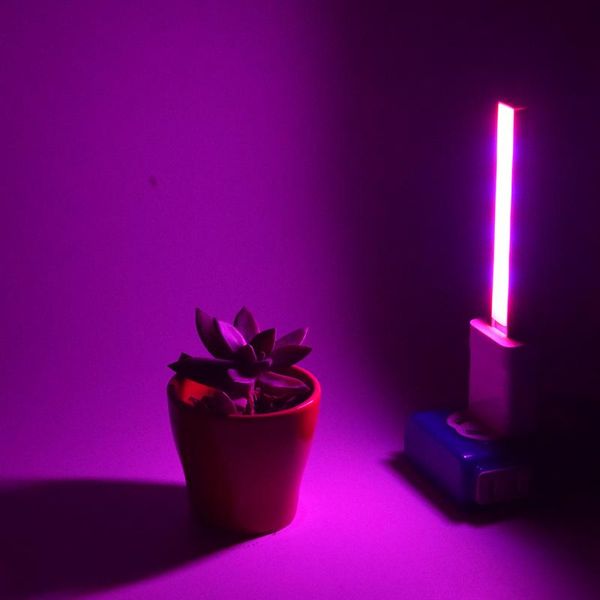 aifeng usb led grow light uv ir usb 5w 3w full spectrum hydroponics indoor desk dc 5v article bar growth lamp swy bbyyuh packing2010
aifeng usb led grow light uv ir usb 5w 3w full spectrum hydroponics indoor desk dc 5v article bar growth lamp swy bbyyuh packing2010