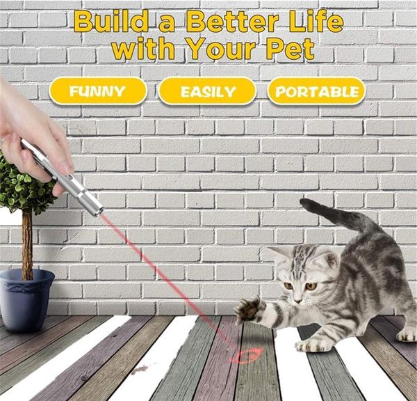 usb laser light led pen stainless steel mini rechargeable laser multi-pattern 3 in 1 pet training t bbyzes sport777
usb laser light led pen stainless steel mini rechargeable laser multi-pattern 3 in 1 pet training t bbyzes sport777