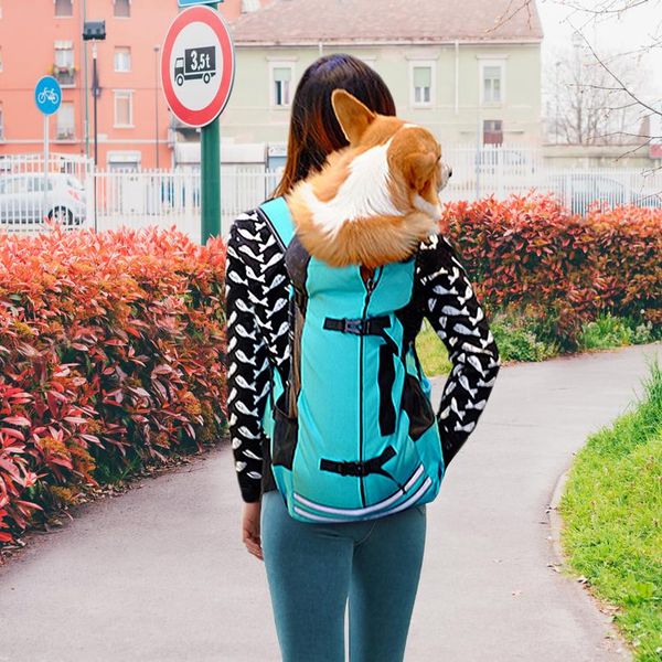 portable pet dog carrier outdoor pet puppy shoulder bag handbag travel carrying backpack for small dogs cats chihuahu bbygoe
portable pet dog carrier outdoor pet puppy shoulder bag handbag travel carrying backpack for small dogs cats chihuahu bbygoe