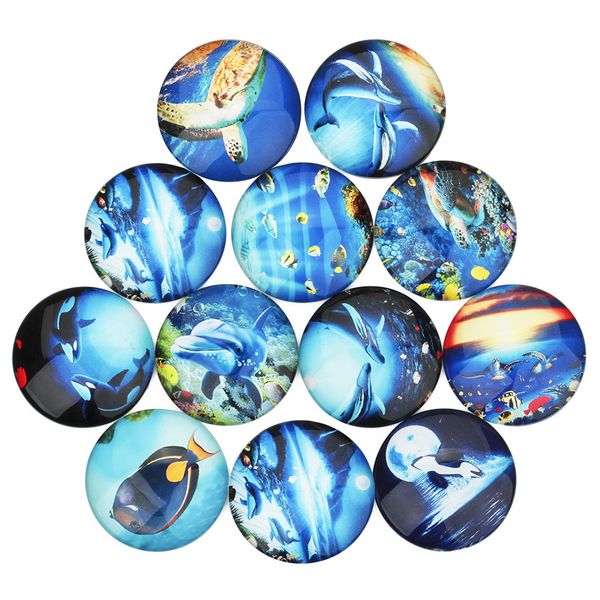 20 pieces vivid glass domed round cabochon, marine life cabochons, mix pattern, size 12mm fit 12mm pendant blanks trays base bezel ring base
20 pieces vivid glass domed round cabochon, marine life cabochons, mix pattern, size 12mm fit 12mm pendant blanks trays base bezel ring base