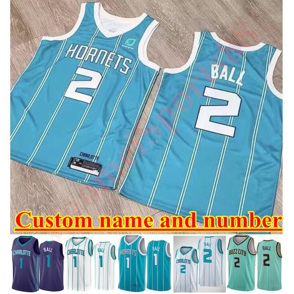 2021 gordon hayward devonte graham lamelo ball terry rozier iii malik monk miles bridges bismack biyombo cody zeller jerseys, Black;red
2021 gordon hayward devonte graham lamelo ball terry rozier iii malik monk miles bridges bismack biyombo cody zeller jerseys, Black;red