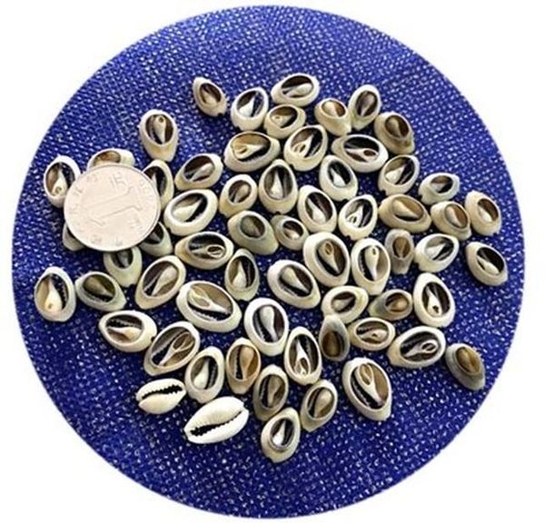 candles ocean shells jelly wax candle sea natural shell conch wedding decoration candle diy valentines christmas supplies wmtglw xhhair
candles ocean shells jelly wax candle sea natural shell conch wedding decoration candle diy valentines christmas supplies wmtglw xhhair
