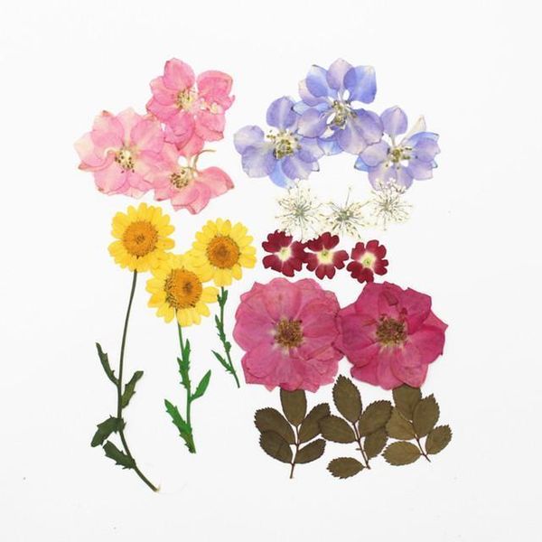 1bag dried flowers uv resin decorative natural floral flower stickers 3d beauty nail art decals epoxy mold diy filling jewelry h wmtrwh
1bag dried flowers uv resin decorative natural floral flower stickers 3d beauty nail art decals epoxy mold diy filling jewelry h wmtrwh