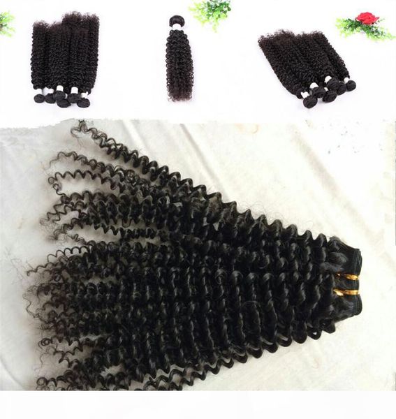 virgin brazilian hair malaysian peruvian mongolian cambodian indian unprocessed jerry curly hair 3 bundles lot selling, dhl, Black
virgin brazilian hair malaysian peruvian mongolian cambodian indian unprocessed jerry curly hair 3 bundles lot selling, dhl, Black