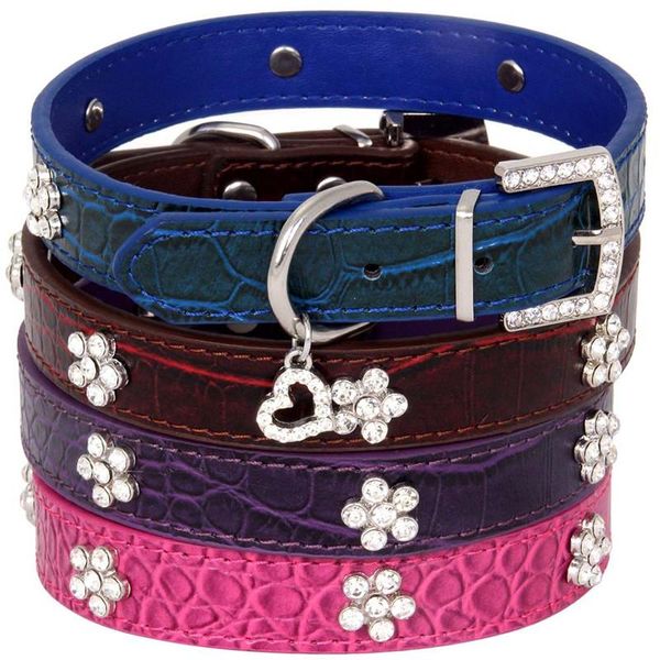 bling rhinestone щенка алмазный ошейники персонализированный кожаный регулируемый воротник ожерелье для малых, средних аксессуаров для домаш
bling rhinestone щенка алмазный ошейники персонализированный кожаный регулируемый воротник ожерелье для малых, средних аксессуаров для домаш