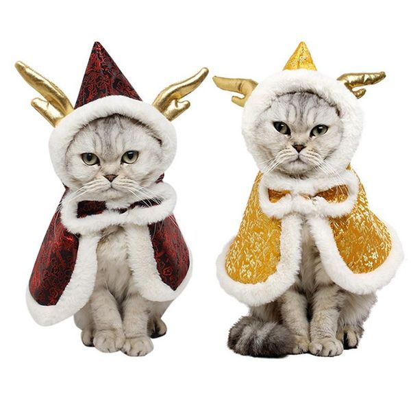 dog apparel chinese style pet cat warm clothes puppy hooded coat dragon cape costumes clothing for year small dogs outfits
dog apparel chinese style pet cat warm clothes puppy hooded coat dragon cape costumes clothing for year small dogs outfits