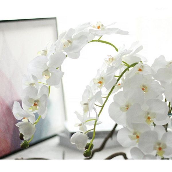 extra large wedding holiday flower phalaenopsis feels glue moisturizing artificial flower home decoration simulation plant1
extra large wedding holiday flower phalaenopsis feels glue moisturizing artificial flower home decoration simulation plant1