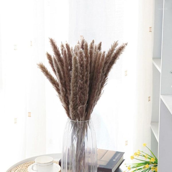 decorative flowers & wreaths 15 pieces dried pampas grass phragmites communis reed flower bouquet plant wedding bunch for home decoration 1
decorative flowers & wreaths 15 pieces dried pampas grass phragmites communis reed flower bouquet plant wedding bunch for home decoration 1
