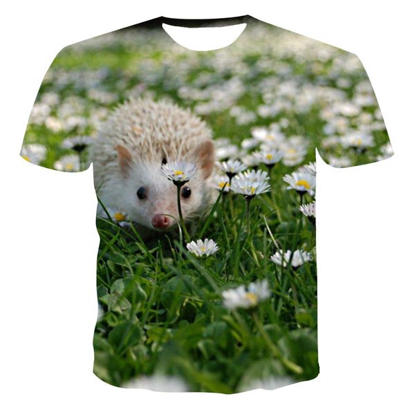 new hedgehog pattern cool 3d printing quick drying t-shirt. 3d print shirts comics graphic hippie men clothing
new hedgehog pattern cool 3d printing quick drying t-shirt. 3d print shirts comics graphic hippie men clothing