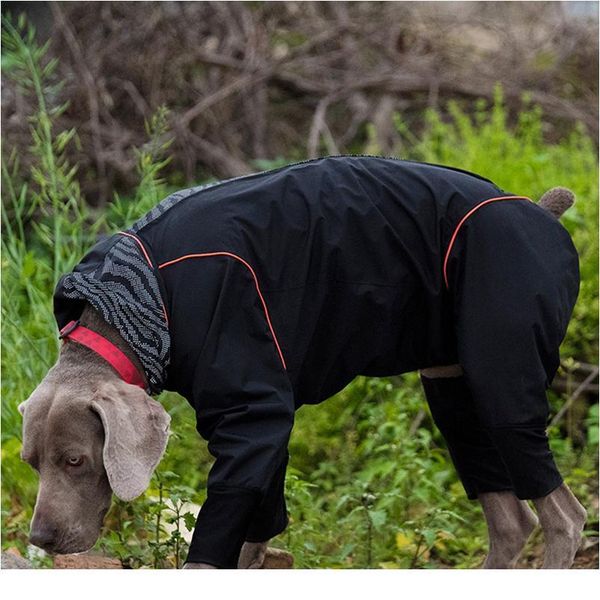 pet big dog raincoat jumpsuit waterproof breathable clothes for medium large girl dogs rain coat french bulldog labrad bbyvnw
pet big dog raincoat jumpsuit waterproof breathable clothes for medium large girl dogs rain coat french bulldog labrad bbyvnw