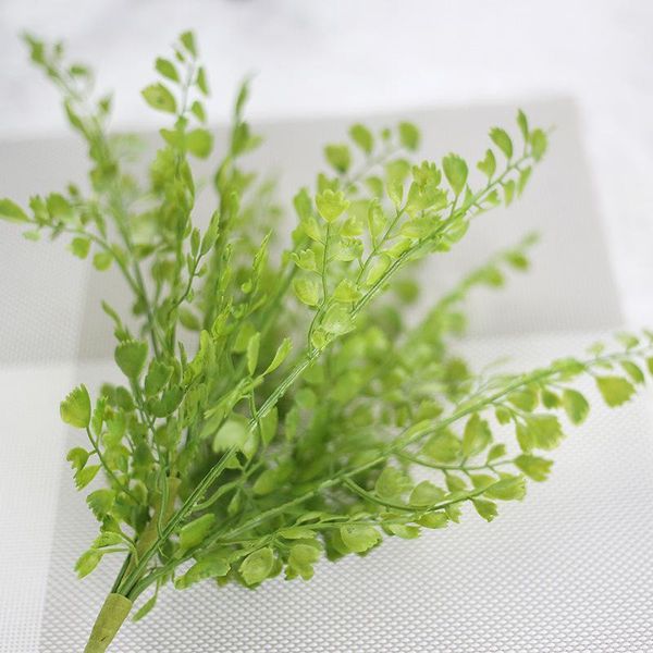 decorative flowers & wreaths artificial gold money leaves 1pcs green fake plants plastic flower bouquet leaf fern silk wedding home decor1
decorative flowers & wreaths artificial gold money leaves 1pcs green fake plants plastic flower bouquet leaf fern silk wedding home decor1