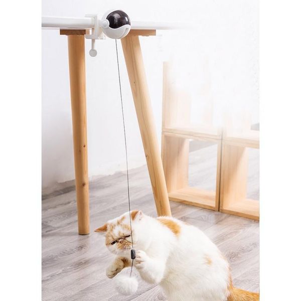 new electronic motion cat toy cat teaser toy yo-yo lifting ball electric flutter rotating interactive puzzle without battery1
new electronic motion cat toy cat teaser toy yo-yo lifting ball electric flutter rotating interactive puzzle without battery1