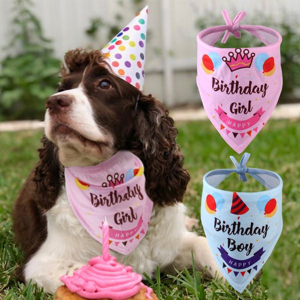 cats, collars, soft dogs, kittens, birthday party scarves, pet accessories, chihuahua
cats, collars, soft dogs, kittens, birthday party scarves, pet accessories, chihuahua