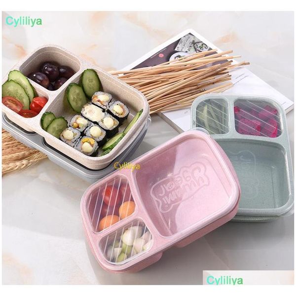natural rice husk wheat straw lunch box food grade pp lunch box school bowls fast food sepe jllaga bdebag
natural rice husk wheat straw lunch box food grade pp lunch box school bowls fast food sepe jllaga bdebag