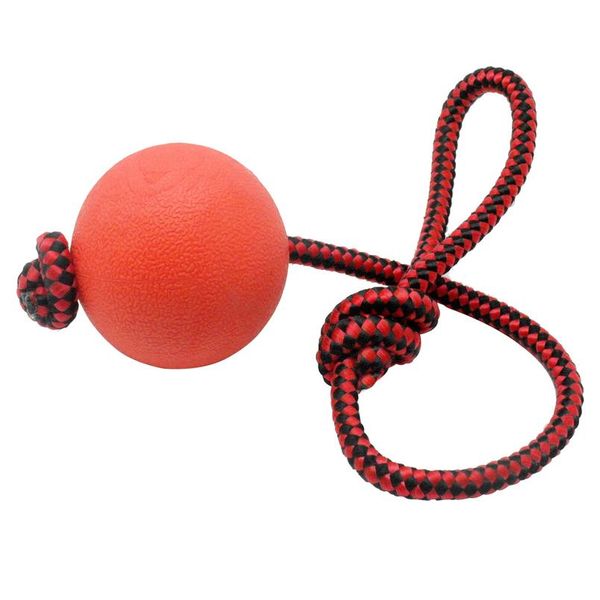 durable dog toys interactive cotton rope pet puppy dog toy chew ball squeaky bite resistant toys for small large dogs sqcoup
durable dog toys interactive cotton rope pet puppy dog toy chew ball squeaky bite resistant toys for small large dogs sqcoup