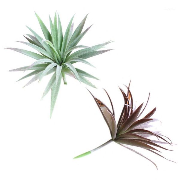 decorative flowers & wreaths 2pcs artificial plant for home el office wedding party garden craft art decor (green and red)1
decorative flowers & wreaths 2pcs artificial plant for home el office wedding party garden craft art decor (green and red)1