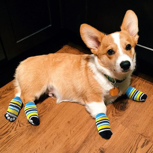 cute non slip dog socks lovely pet puppy knit socks 4pcs autumn winter pets dogs cat shoes for small dogs a bbyjdq
cute non slip dog socks lovely pet puppy knit socks 4pcs autumn winter pets dogs cat shoes for small dogs a bbyjdq