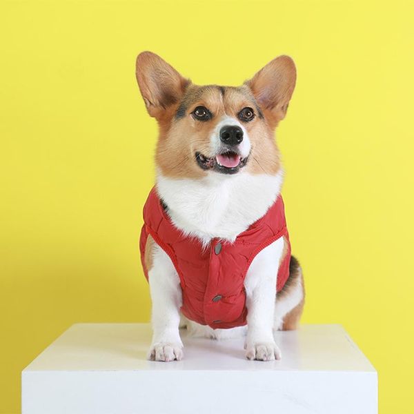 dog thickened warm vest snap button design easy to wear take off soft durable breathable pet clothes winter
dog thickened warm vest snap button design easy to wear take off soft durable breathable pet clothes winter