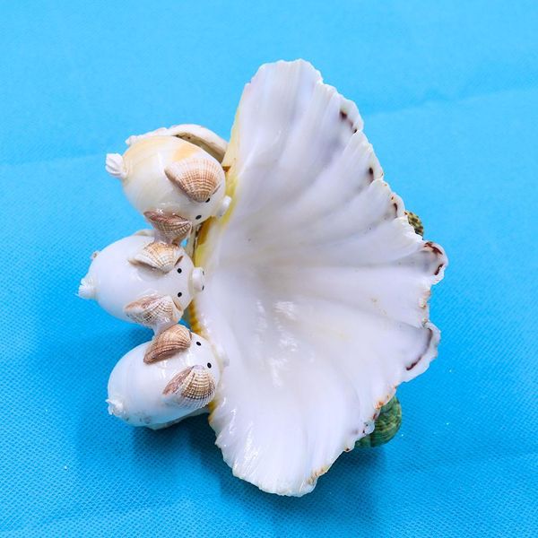 natural scallop seashell clam crafts soap holder beach wedding decorations aquarium landscape decor shells for jewelry making h jllhrb
natural scallop seashell clam crafts soap holder beach wedding decorations aquarium landscape decor shells for jewelry making h jllhrb
