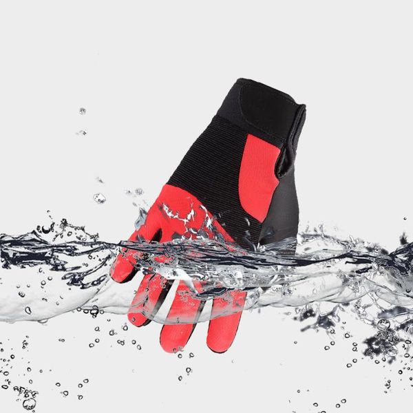 jackcome motorcycle gloves leather carbon sport racing gloves black women men size gloves jackcome motorcycle wmtbhm yyysports
jackcome motorcycle gloves leather carbon sport racing gloves black women men size gloves jackcome motorcycle wmtbhm yyysports